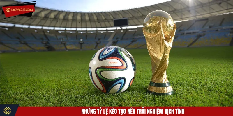Các tỷ lệ cược hấp dẫn kèm theo phần thưởng lớn