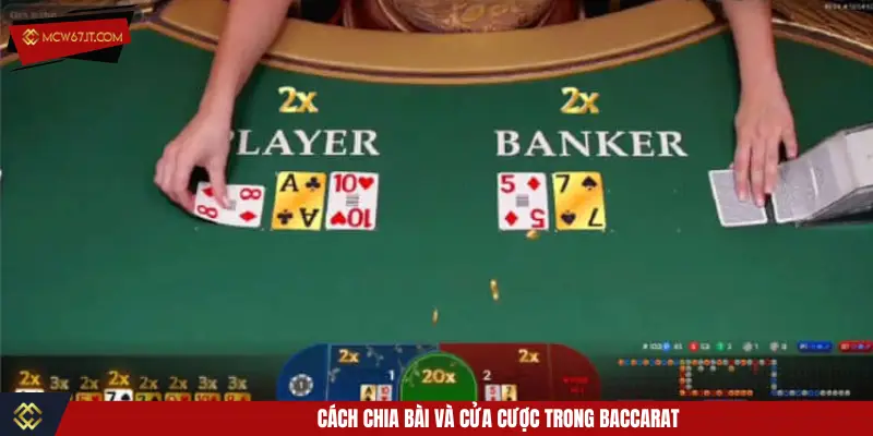 Cách chia bài và cửa cược trong Baccarat