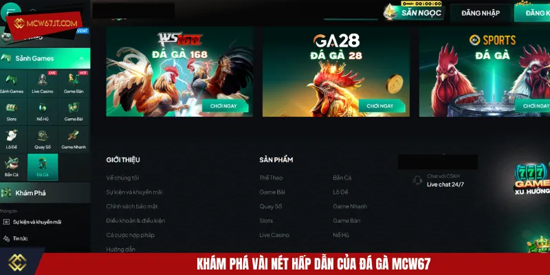 Đá gà MCW67 tạo nên không khi sôi động và kịch tính