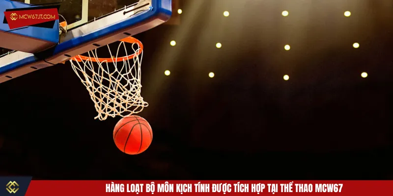 Khám phá đa dạng môn thể thao MCW67 chất lượng cao
