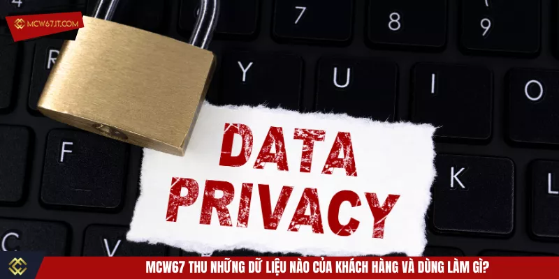 MCW67 thu những dữ liệu nào của khách hàng