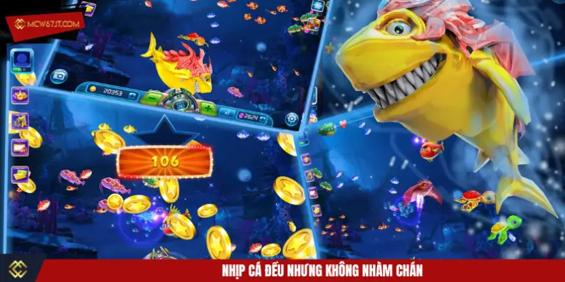 Nhịp cá đều nhưng không nhàm chán