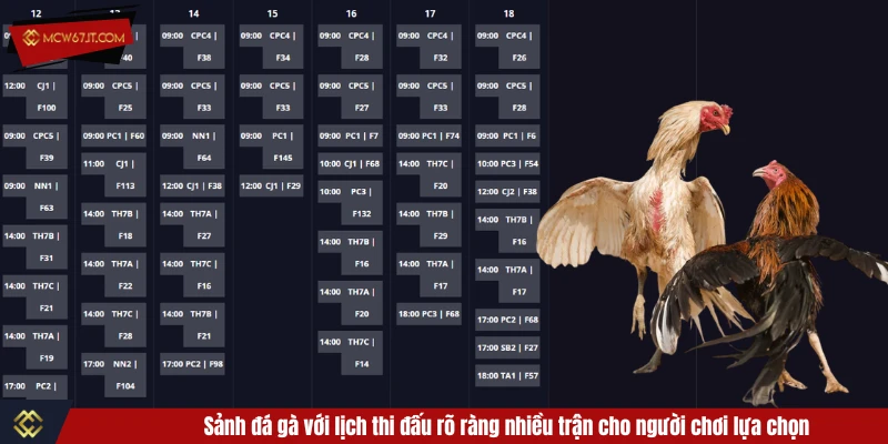 Sảnh đá gà với lịch thi đấu rõ ràng nhiều trận cho người chơi lựa chọn