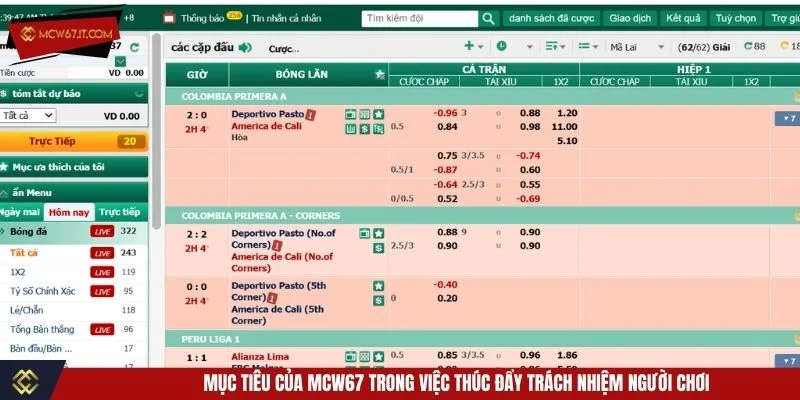 Trách nhiệm người chơi là góp phần tạo nên môi trường giải trí minh bạch